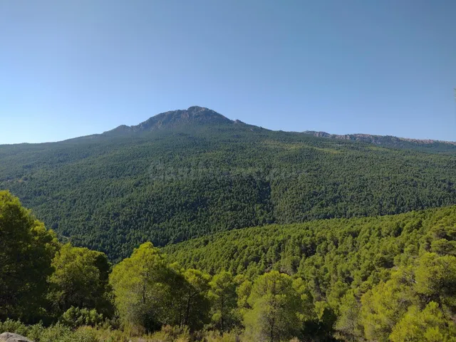EXTRAORDINARIA FINCA RÚSTICA DE MÁS DE 81 HECTÁREAS EN MORAT