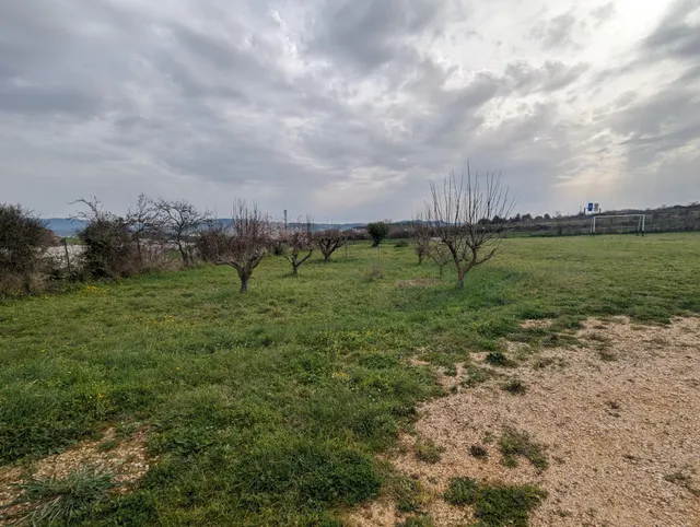 Venta de finca en Estella - foto 5