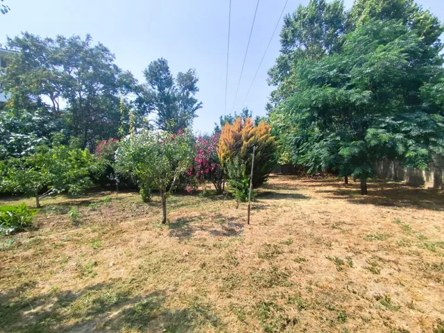CASA RURAL CON AMPLIO TERRENO EN CASCANTE — 16