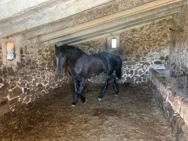 C-7047 - Casa de Campo en Ciutadella — 33