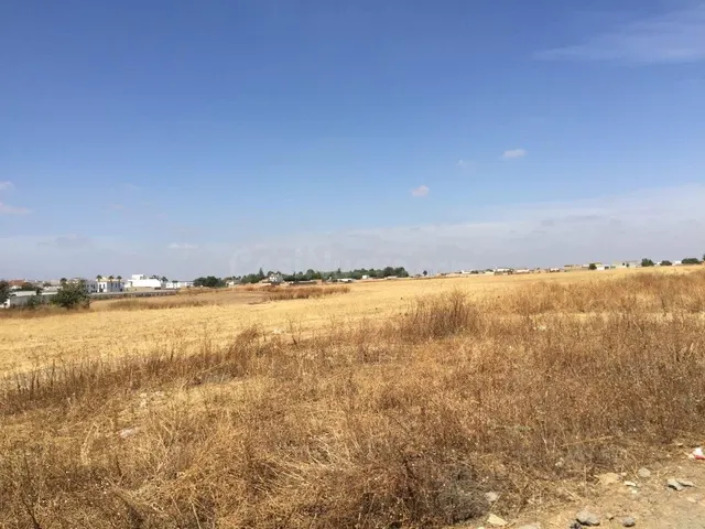 Parcela en venta - Almonte