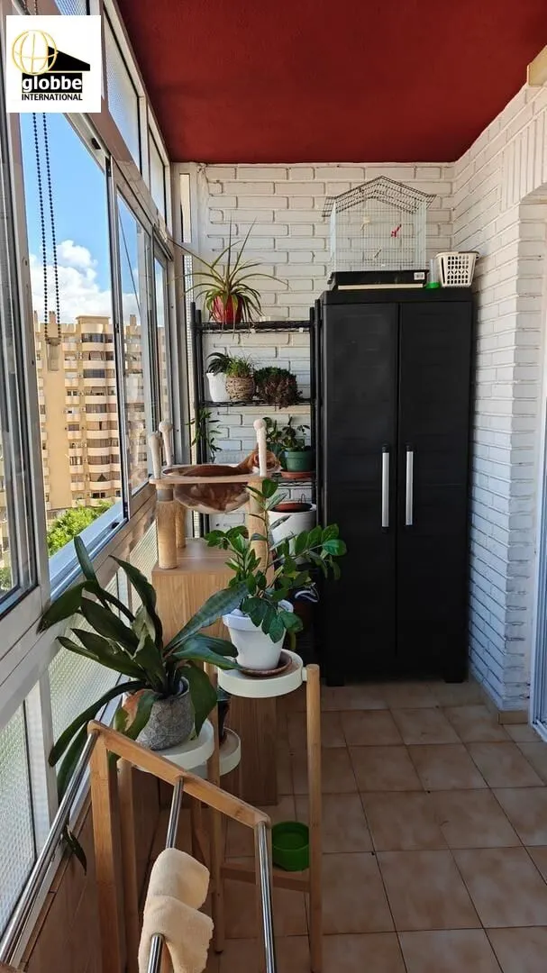 Amplio Piso en el Corazón de Málaga - Oportunidad Única ️ — 15
