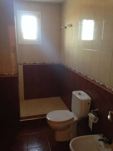 Chalet con terreno plantado — 21