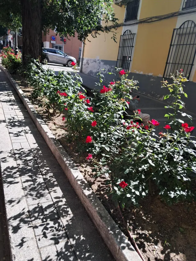 DÚPLEX DE OBRA NUEVA · 4 DORMITORIOS · 2 BAÑOS · EXTERIOR - CALLE SAN ANTONIO- ARANJUEZ — 24