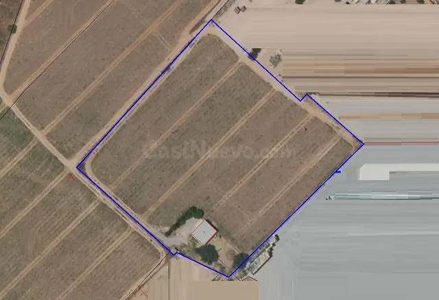 PARCELA 14.000 m2 con ALMACÉN en PURIAS