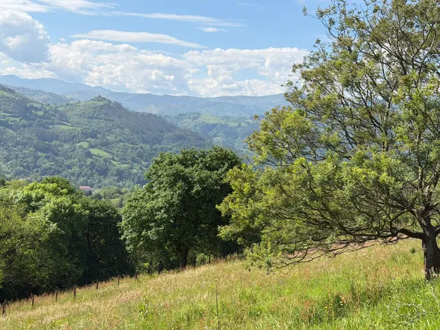 Terreno rural en venta - Fontán — 12