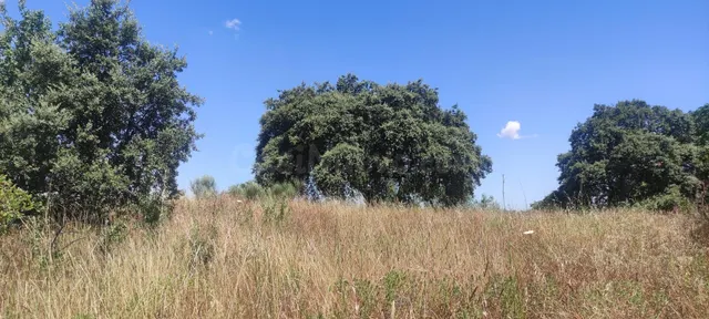 ¡Terreno de 2800 m2 en zona ermita!