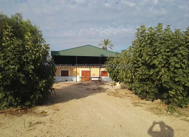 Excelente Finca con caballerizas en El Palmar (Murcia) — 28