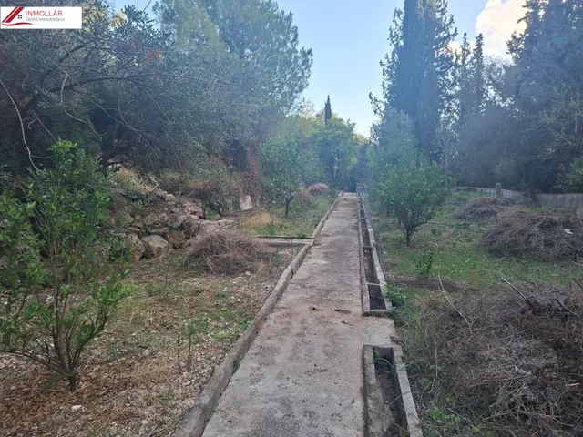OCASIÓN FINCA RÚSTICA CON DOS CASAS INDEPENDIENTES, IDEAL DOS FAMILIAS!! — 42
