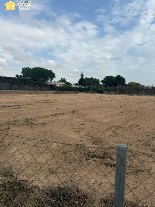 Se alquila terreno rústico de 8.000 m2 para vivero — 6