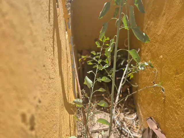 Casa de pueblo a reformar — 15