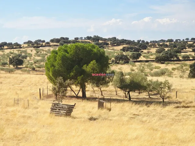 Chalet en Torrecampo — 20