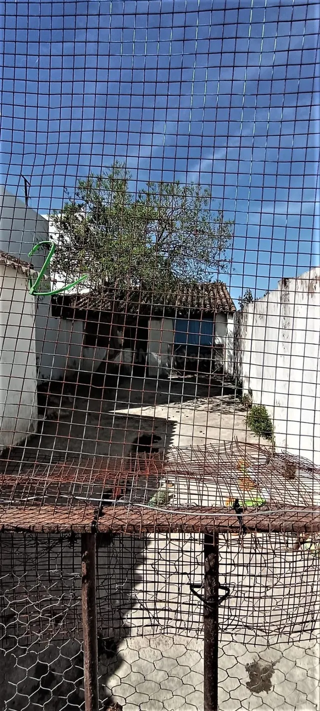 Casa con gran patio en Villamanrique de la Condesa (Sevilla) - foto 4