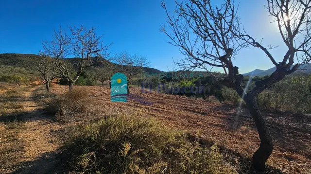 GRAN TERRENO JUNTO A LOS ALTOS DE LAS PALAS – REF. 2112 - foto 4