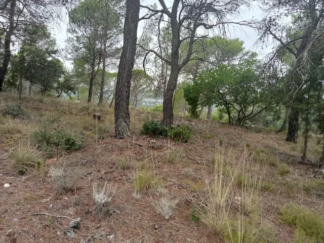 Tegeisa vende parcela de 821m2, con buenas vistas — 5