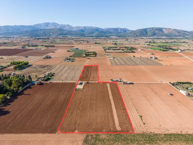 Terreno rústico de 14.206 m2 en Sa Pobla con construcción ag - foto 5