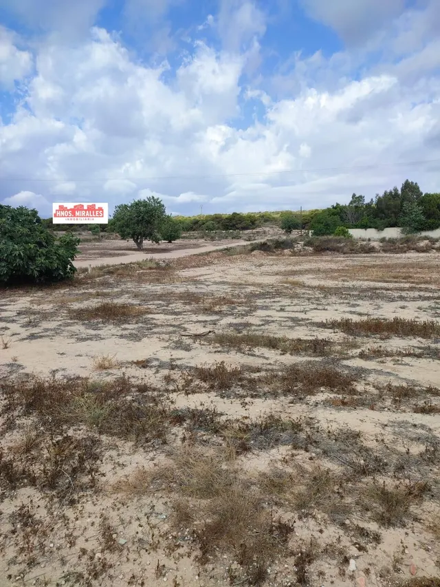 Se vende casa con Terreno en La Marina — 6