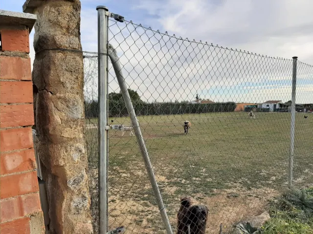 EL COLLADO, SIERRA DE FUENTES - foto 4