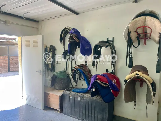 Fantástica finca rústica con piscina privada e instalaciones para caballos junto al Parc Natural del Fond en Dolores, Alicante — 30
