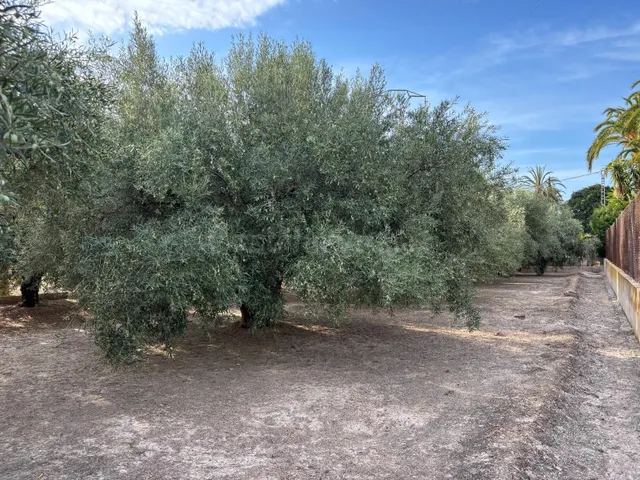 Terreno con almacén y barbacoa - foto 4
