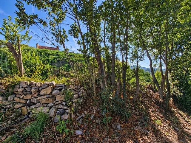Parcela edificable de 1.710 m2 en caldones: tu futuro hogar en el entorno rural de Gijón — 22