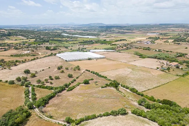 Suelo Rústico Urbanizable de 76.125 m2 — 11
