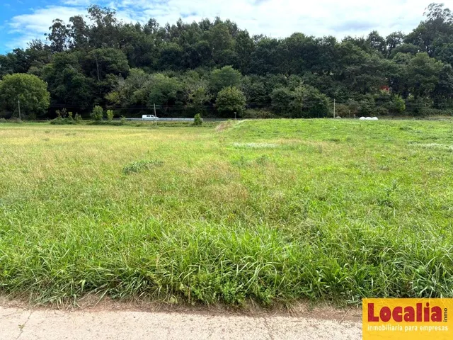 TERRENO RÚSTICO DE 4.743 m² EN PIÉLAGOS — 7