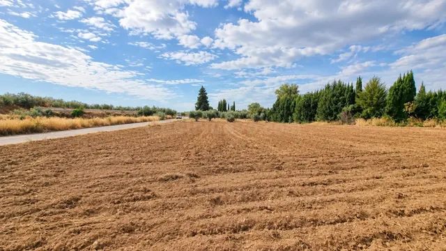 Parcela rústica de 4.824 m2 en Llanos de Moraleda, Moraleda 