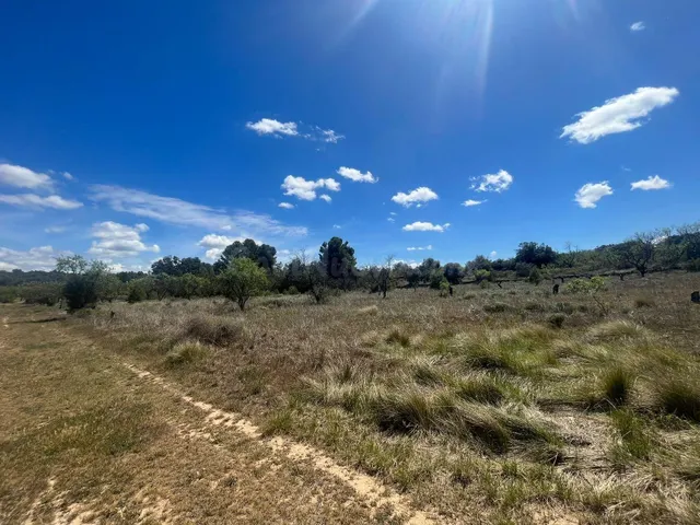 Finca rústica en venta - Aréns de Lledo - foto 2
