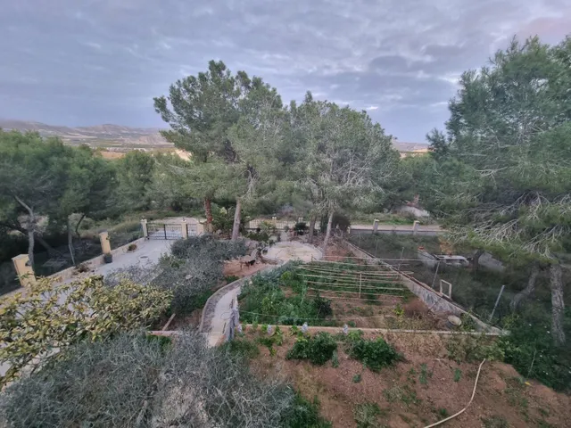 Casa Independiente Con Piscina ,Murcia ( Cañada de San Pedro) — 28