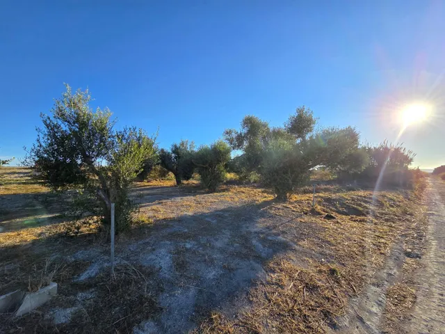 Parcela segregada de 3.353 m/2  en el marquesado – Chiclana de la Frontera — 8