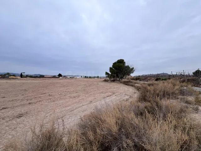 PARCELA CON CASITA A MIL METROS DEL PUEBLO - foto 4