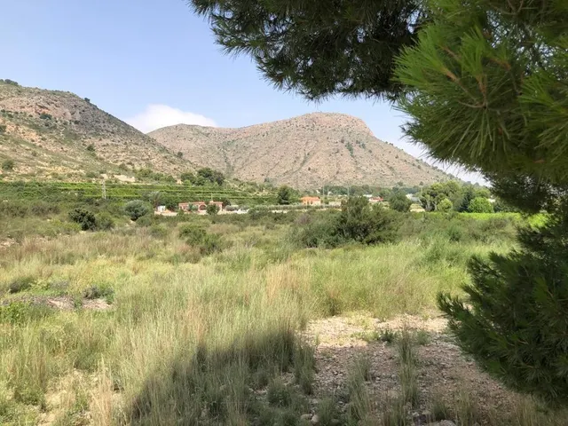 TERRENO EN ASPE — 6
