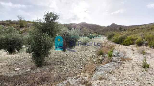 TERRENO RUSTICO CON CASA EN RUINA PARA REFORMAR — 14