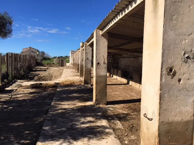 C-7035 - Casa de campo en Son Bou — 30