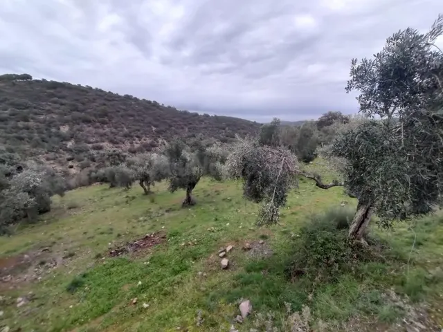 Terreno No urbanizable en Villanueva del Rey - foto 5