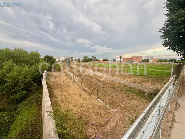 Terreno de 15.751 m2 en Burriana junto a polo comercial — 12