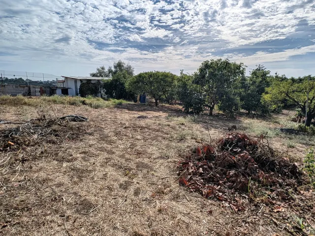 Finca rústica en exclusiva con piscina, huerta y vistas al mar en La Cala Alta — 22