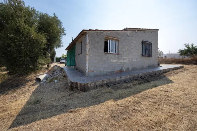 Encanto rústico con casita y olivos en Moraleja de Zafayona — 21