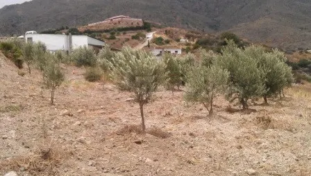 Parcela en venta - Costa Del Sol