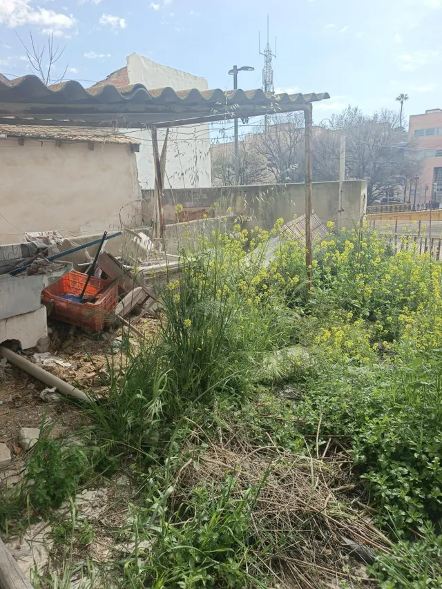 Gran casa en Aspe con inmenso jardín. — 9