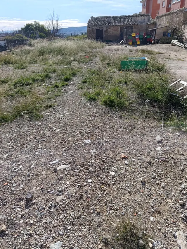 TERRENO UBICADO EN ZONA CENTRICA DE MULA — 9