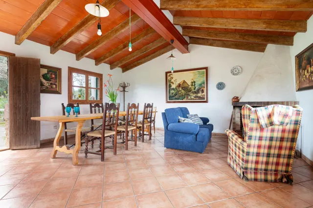 Finca rústica con encanto en Llucmajor – naturaleza, privaci - foto 2