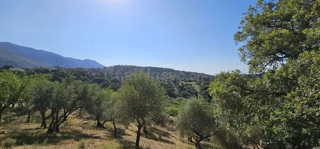 Parcela 120m² en venta - Costa Del Sol - foto 2