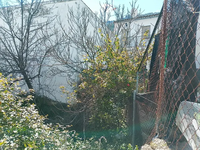 Finca ideal para construir tu casa. - foto 5