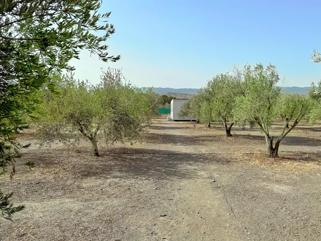 Cortijo con piscina — 21