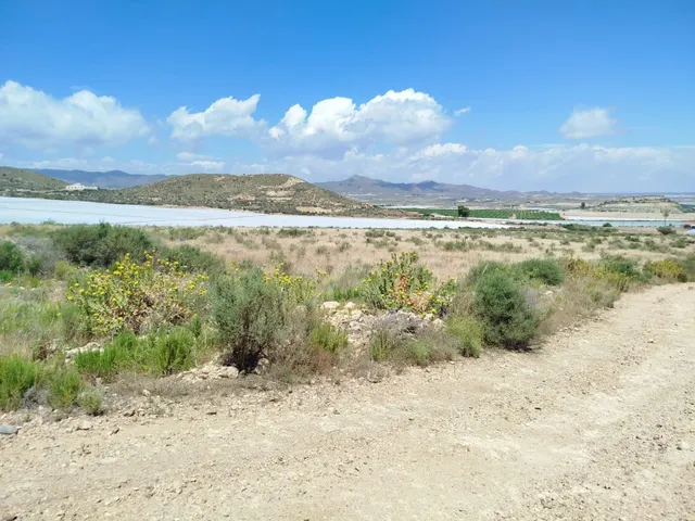 Terreno rural en venta - Leiva - foto 2