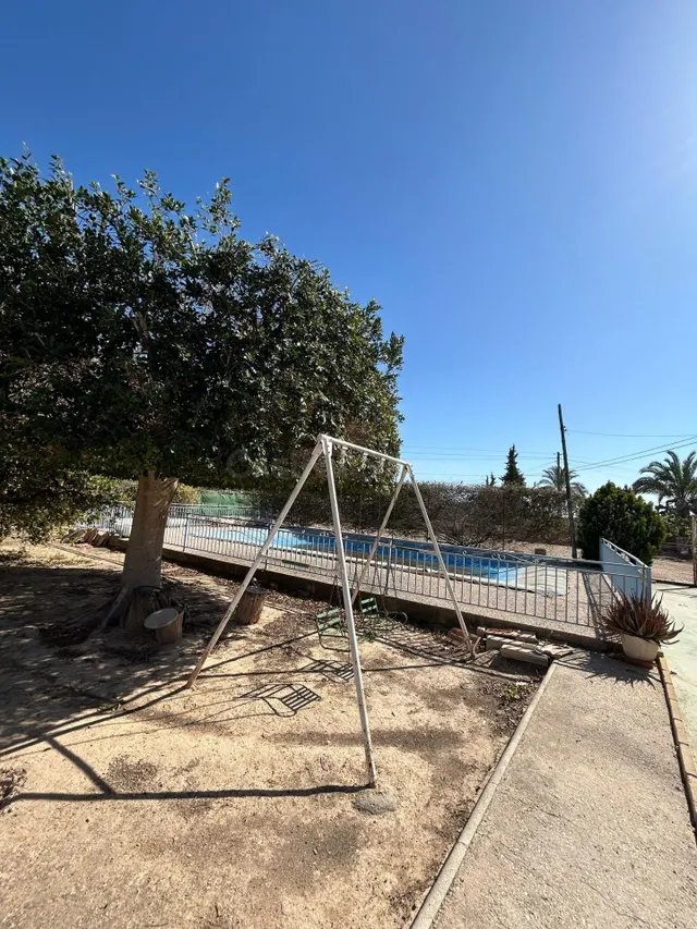 BUSCAS UN CAMPO A 2 MINUTOS DE ELCHE ? — 4