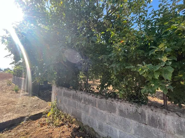 SE VENDE PARCELA CON CASETA — 4