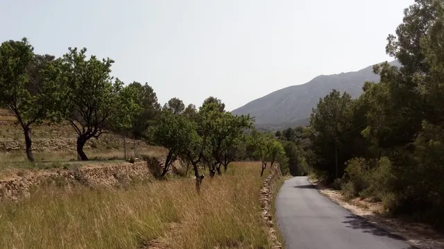 Parcela en Benissa partida Viniyent — 3